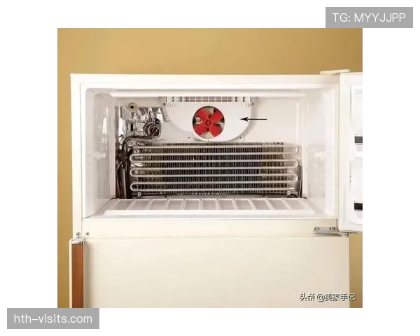 朱婷家的冰箱里只放蛋白粉和水？